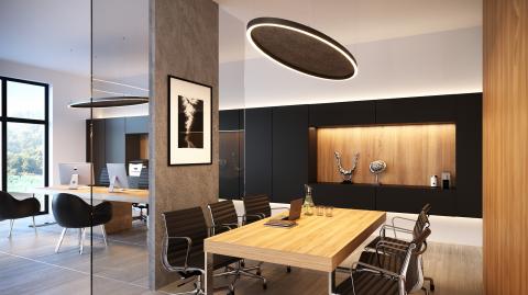 <p>MEETING ROOM, ACOUSTIC PANELS AND POS SUSPENSION</p>