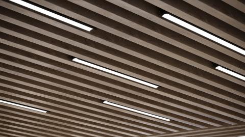 <p>Wood Slat Ceiling</p>