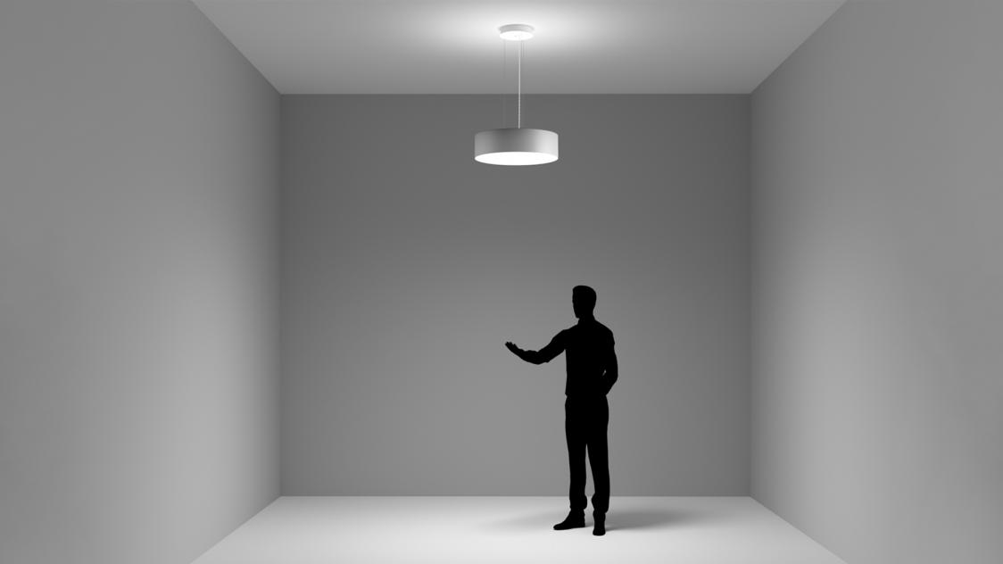 <p>DIRECT DIFFUSED &amp; INDIRECT LIGHT</p>