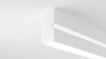 Thumbnail for <p>WHITE</p>